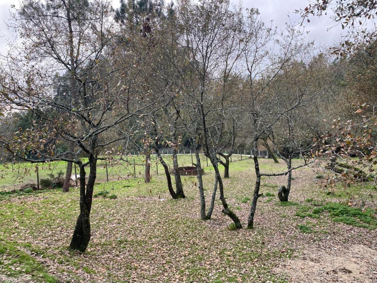 Quinas Playground Vila Souto da Carpalhosa Exterior foto